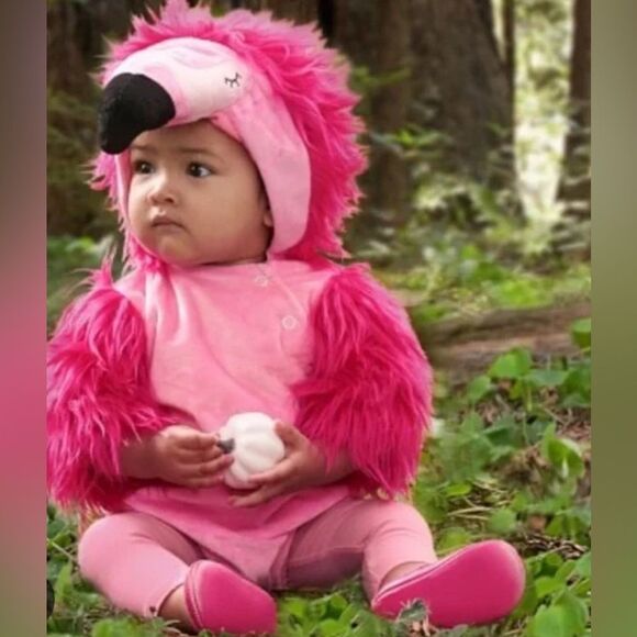 Pottery Barn Other - Pottery Barn Pink flamingo costume 12-24 Months